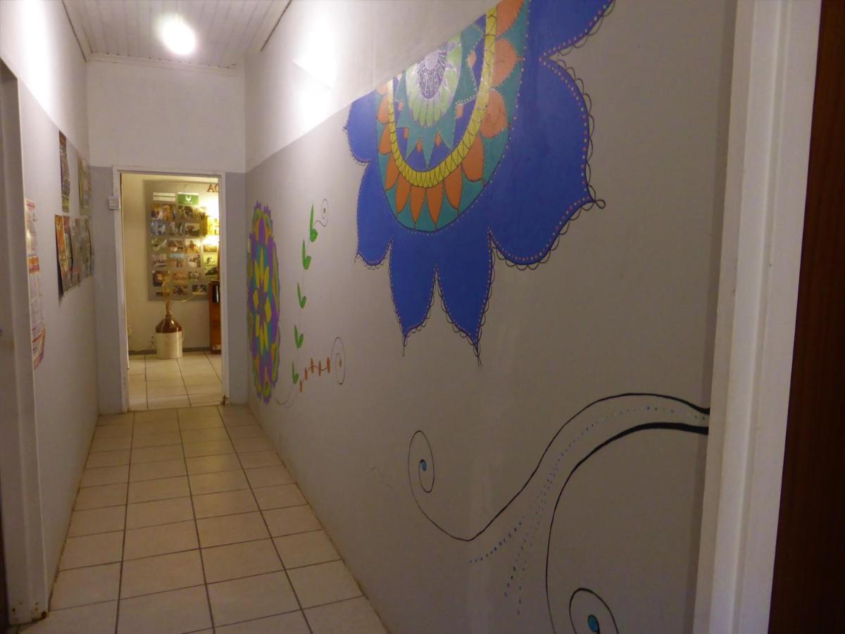 הוסטל אדו Orange Elephant Backpackers מראה חיצוני תמונה