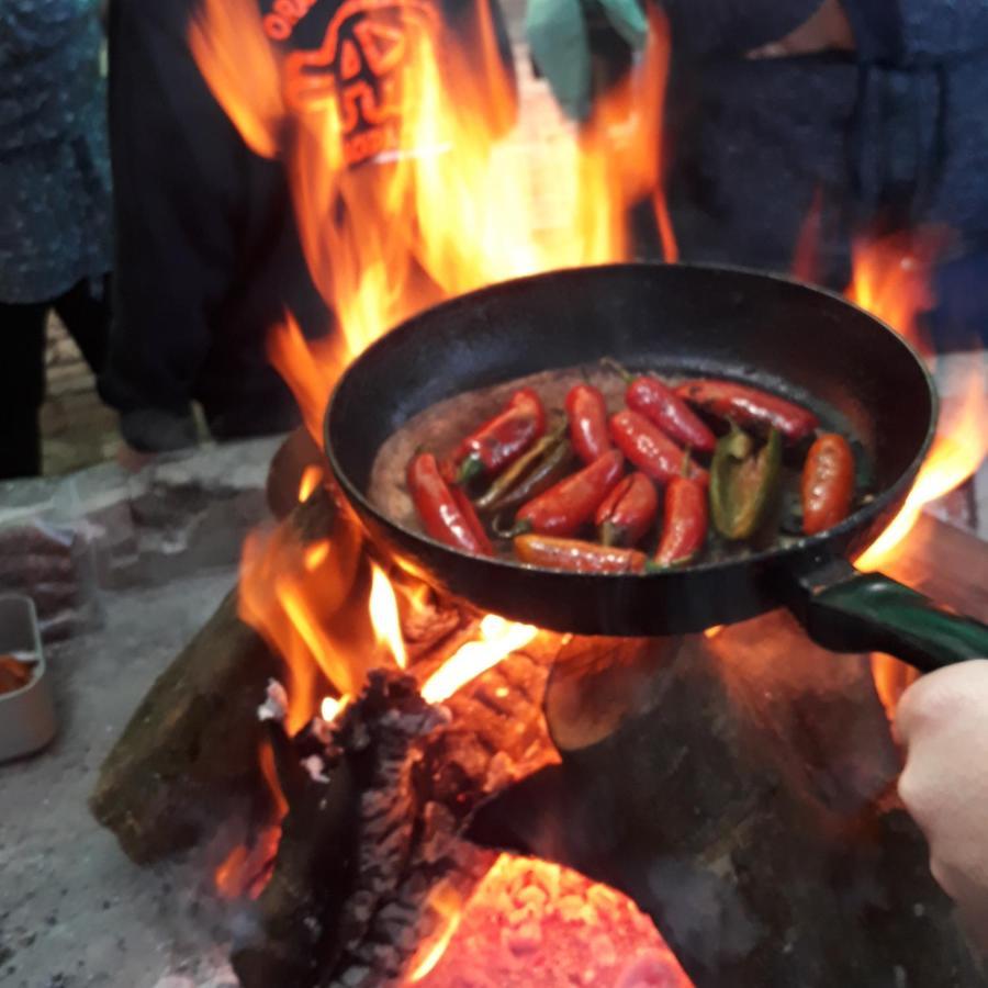 הוסטל אדו Orange Elephant Backpackers מראה חיצוני תמונה