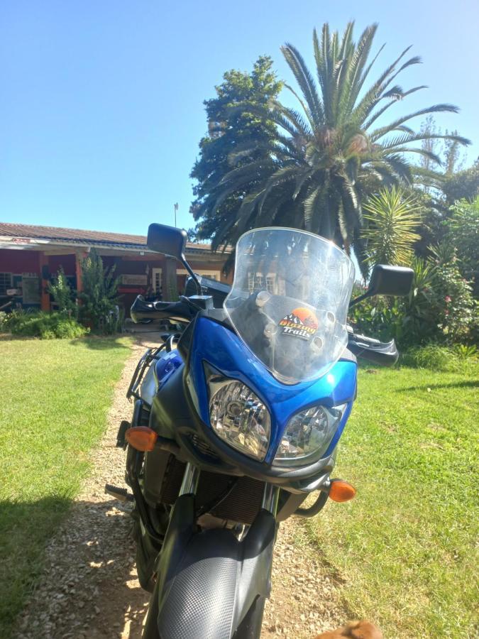 הוסטל אדו Orange Elephant Backpackers מראה חיצוני תמונה